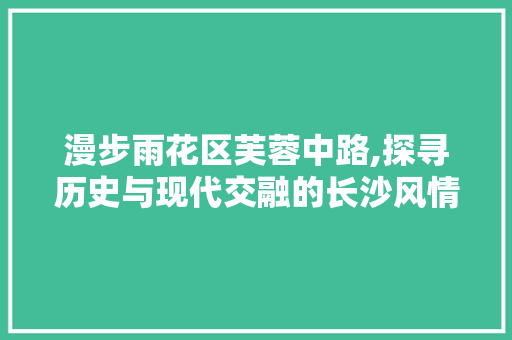 漫步雨花区芙蓉中路,探寻历史与现代交融的长沙风情