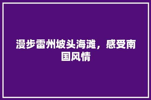 漫步雷州坡头海滩，感受南国风情