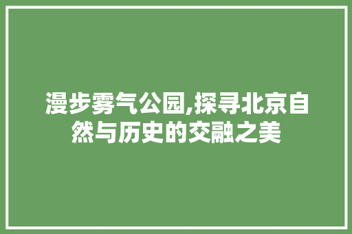 漫步雾气公园,探寻北京自然与历史的交融之美