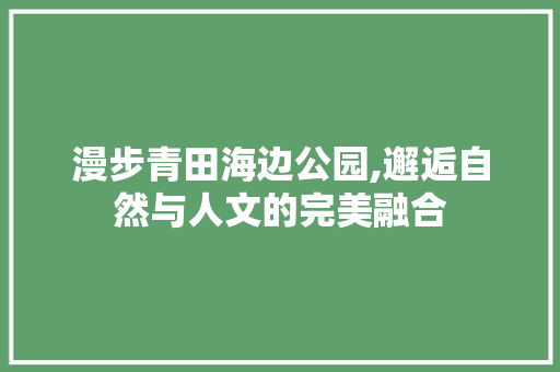 漫步青田海边公园,邂逅自然与人文的完美融合