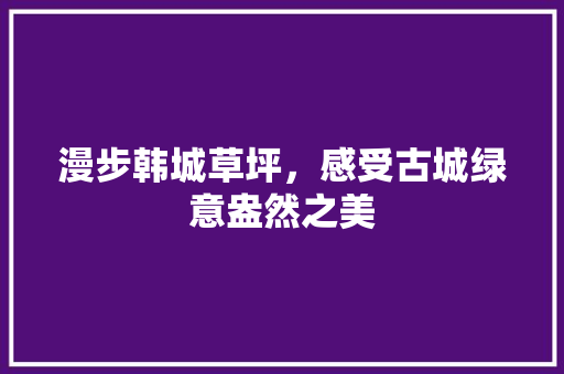 漫步韩城草坪，感受古城绿意盎然之美  第1张