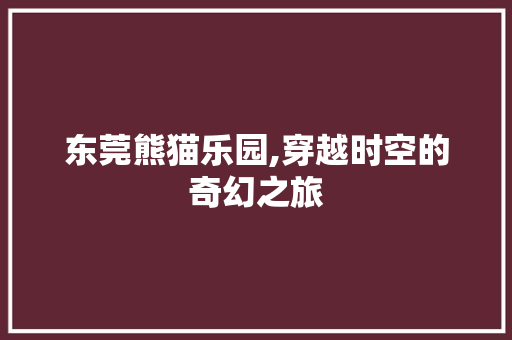 东莞熊猫乐园,穿越时空的奇幻之旅