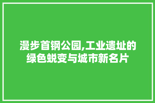 漫步首钢公园,工业遗址的绿色蜕变与城市新名片