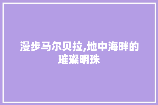 漫步马尔贝拉,地中海畔的璀璨明珠