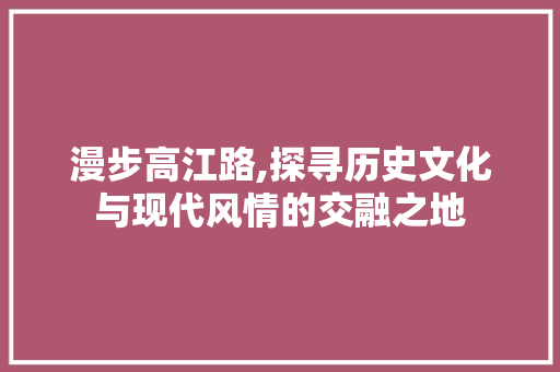 漫步高江路,探寻历史文化与现代风情的交融之地