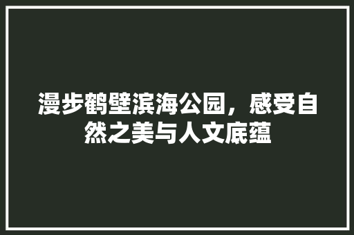 漫步鹤壁滨海公园，感受自然之美与人文底蕴