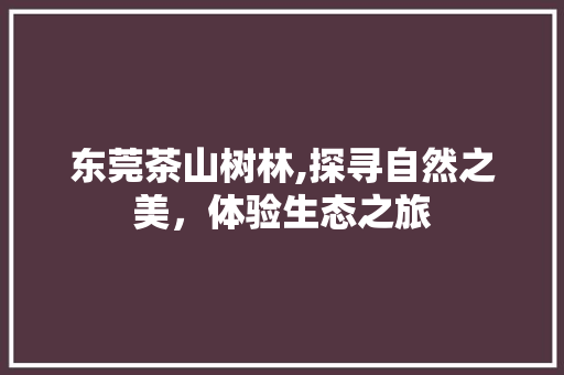 东莞茶山树林,探寻自然之美，体验生态之旅