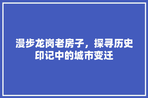 漫步龙岗老房子，探寻历史印记中的城市变迁