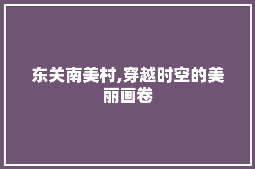 东关南美村,穿越时空的美丽画卷