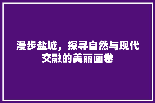 漫步盐城，探寻自然与现代交融的美丽画卷