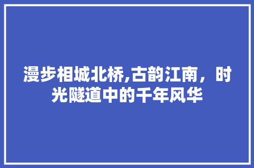 漫步相城北桥,古韵江南，时光隧道中的千年风华