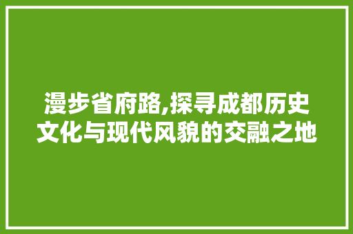 漫步省府路,探寻成都历史文化与现代风貌的交融之地