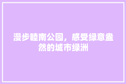 漫步睦南公园，感受绿意盎然的城市绿洲