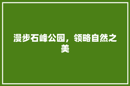 漫步石峰公园，领略自然之美