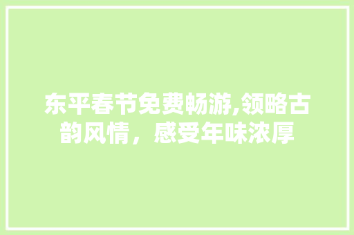 东平春节免费畅游,领略古韵风情，感受年味浓厚