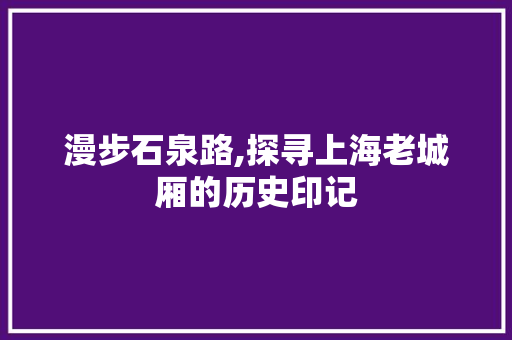 漫步石泉路,探寻上海老城厢的历史印记