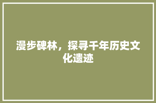 漫步碑林，探寻千年历史文化遗迹