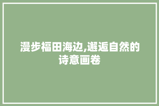 漫步福田海边,邂逅自然的诗意画卷