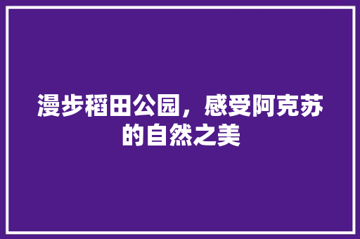 漫步稻田公园，感受阿克苏的自然之美