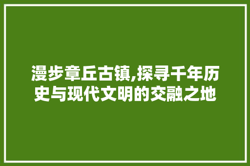 漫步章丘古镇,探寻千年历史与现代文明的交融之地