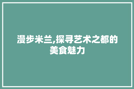 漫步米兰,探寻艺术之都的美食魅力