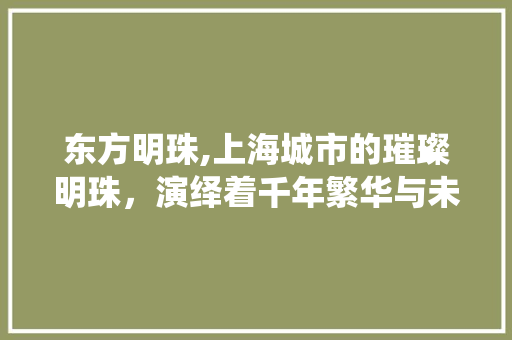 东方明珠,上海城市的璀璨明珠，演绎着千年繁华与未来梦想