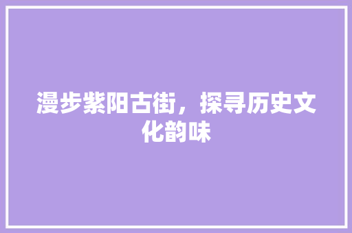 漫步紫阳古街，探寻历史文化韵味