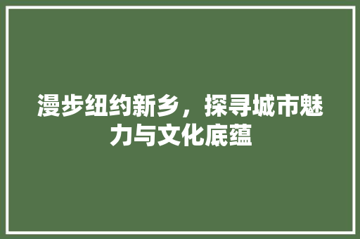 漫步纽约新乡，探寻城市魅力与文化底蕴  第1张