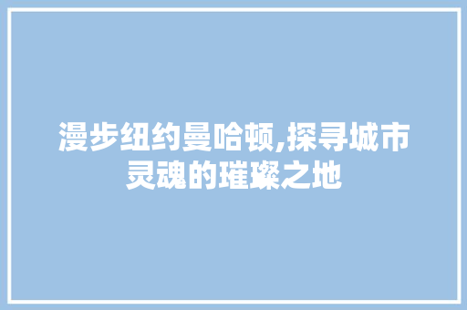 漫步纽约曼哈顿,探寻城市灵魂的璀璨之地