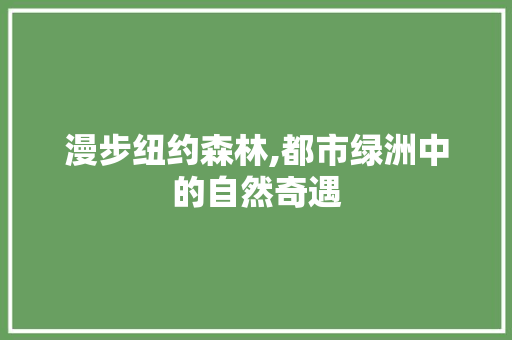 漫步纽约森林,都市绿洲中的自然奇遇