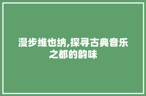 漫步维也纳,探寻古典音乐之都的韵味