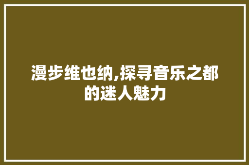 漫步维也纳,探寻音乐之都的迷人魅力