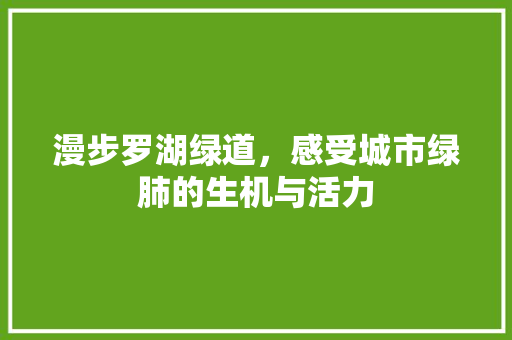 漫步罗湖绿道，感受城市绿肺的生机与活力