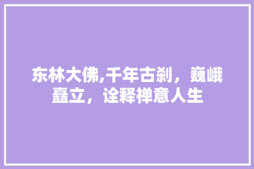 东林大佛,千年古刹，巍峨矗立，诠释禅意人生