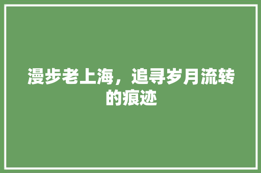 漫步老上海，追寻岁月流转的痕迹