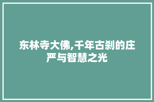 东林寺大佛,千年古刹的庄严与智慧之光