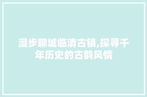 漫步聊城临清古镇,探寻千年历史的古韵风情