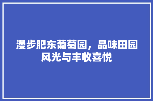 漫步肥东葡萄园，品味田园风光与丰收喜悦