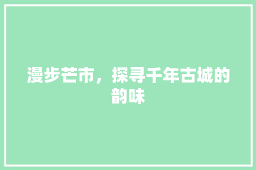 漫步芒市，探寻千年古城的韵味