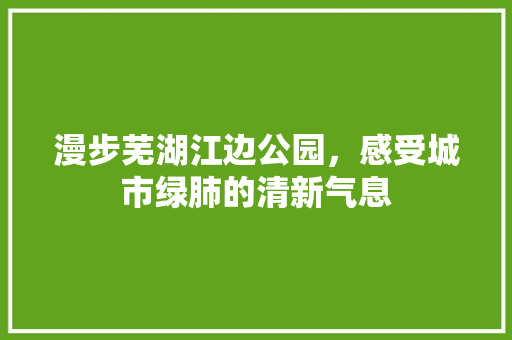 漫步芜湖江边公园，感受城市绿肺的清新气息