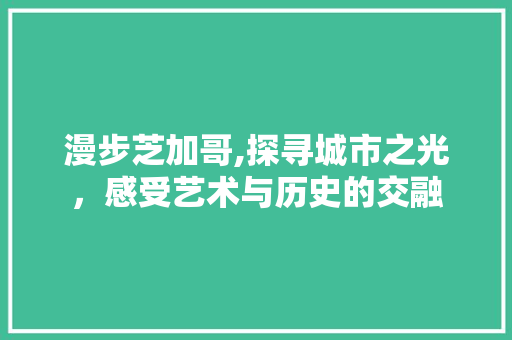 漫步芝加哥,探寻城市之光，感受艺术与历史的交融