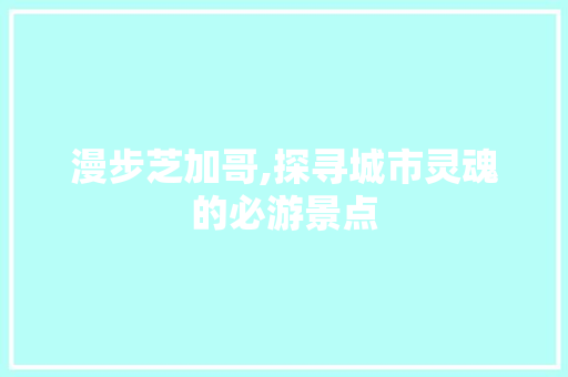 漫步芝加哥,探寻城市灵魂的必游景点