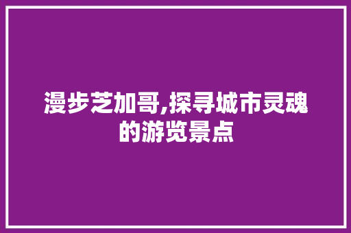 漫步芝加哥,探寻城市灵魂的游览景点