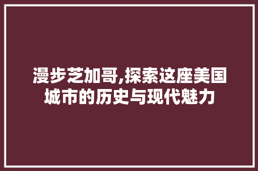 漫步芝加哥,探索这座美国城市的历史与现代魅力