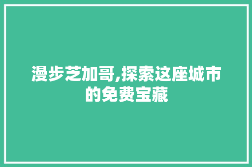 漫步芝加哥,探索这座城市的免费宝藏