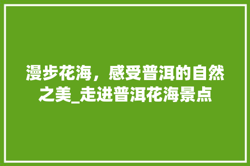 漫步花海，感受普洱的自然之美_走进普洱花海景点