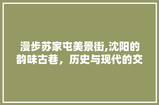 漫步苏家屯美景街,沈阳的韵味古巷，历史与现代的交融之地