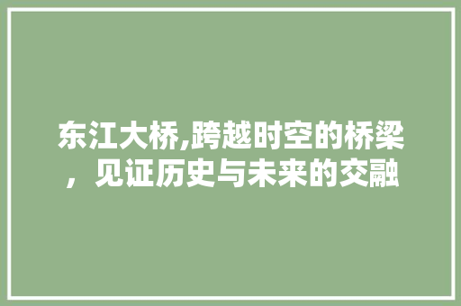 东江大桥,跨越时空的桥梁，见证历史与未来的交融