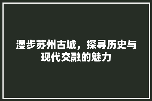 漫步苏州古城，探寻历史与现代交融的魅力