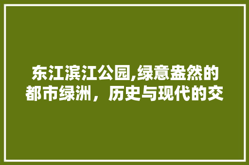 东江滨江公园,绿意盎然的都市绿洲，历史与现代的交融之地